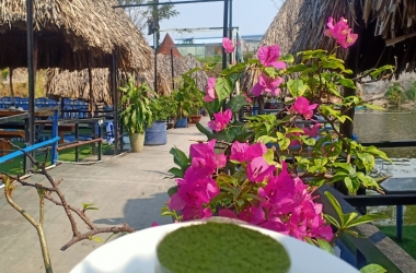 hình ảnh của quán